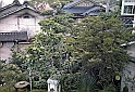 07-Japanese_Garden