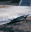 img019