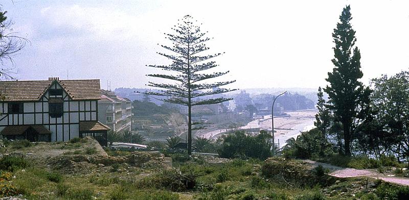 Original image
