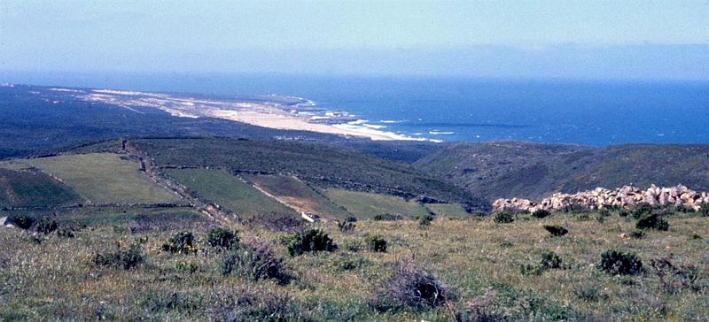 Original image